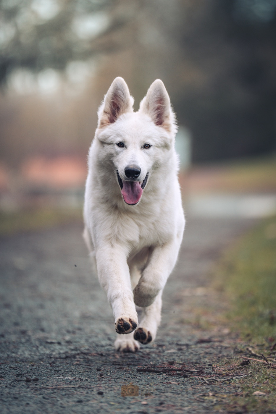 Out Of Time Hunter od bijelih andela